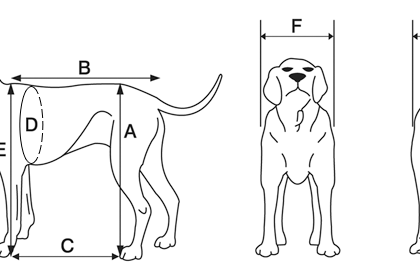 Come faccio a scegliere il tappeto mobile della misura migliore per il mio cane?