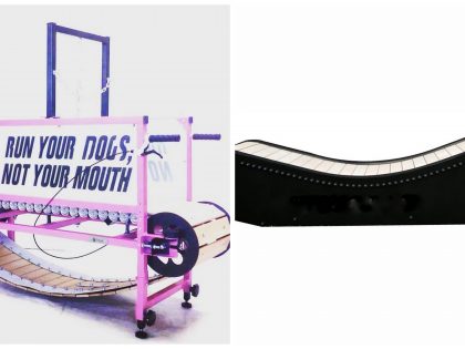 Curve Dog Treadmill vs Classic Slatmill/Dog Treadmill